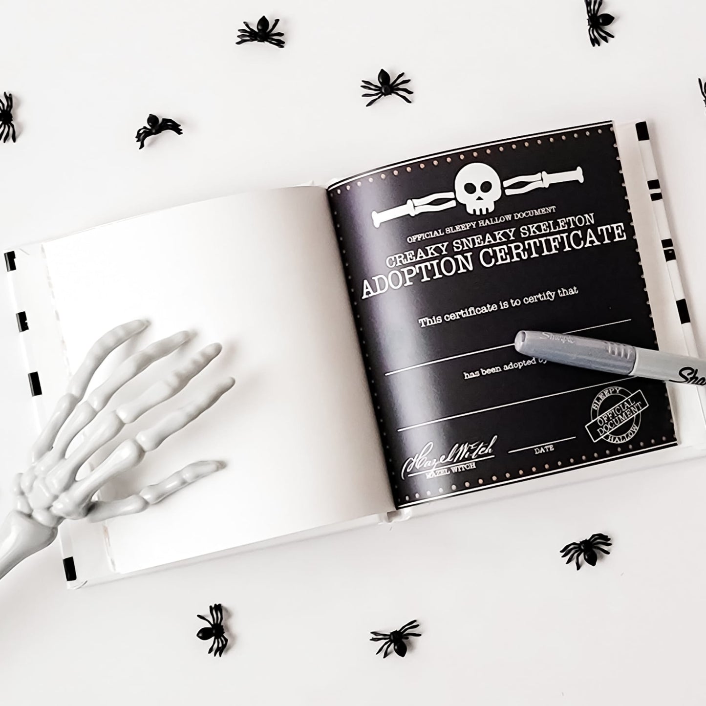 The Creaky Sneaky Skeleton - Original 13 Day Kit