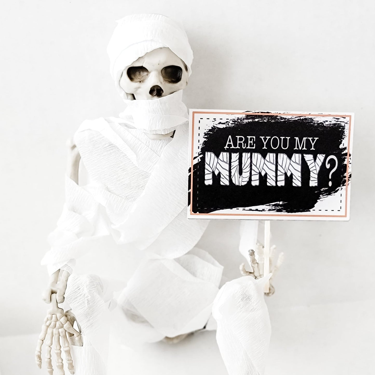 The Creaky Sneaky Skeleton - Original 13 Day Kit